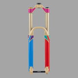 PROTECTOR DE HORQUILLA A LA MEDIDA – ÖHLINS RXF 36 M.2